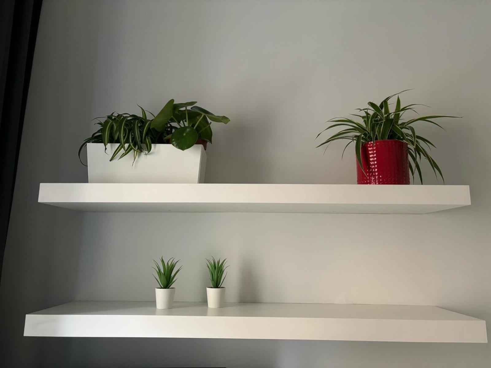 Casa Vasari Apartment Roma Ngoại thất bức ảnh